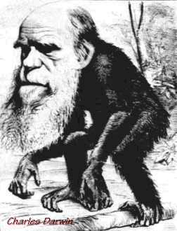 darwin